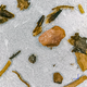 A microscopic view of twigs and moss from the dirt sample.